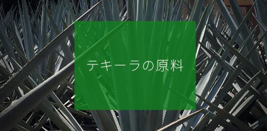テキーラの原料