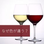 赤ワインと白ワイン、なぜ色が違う？