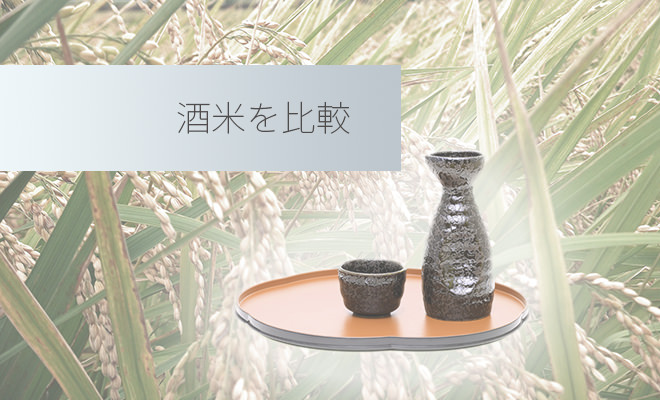 心白米醸造特 山田錦五百万石使用1800ml 心白米醸造特 山田錦五百万石使用1800ml 心白米醸造特