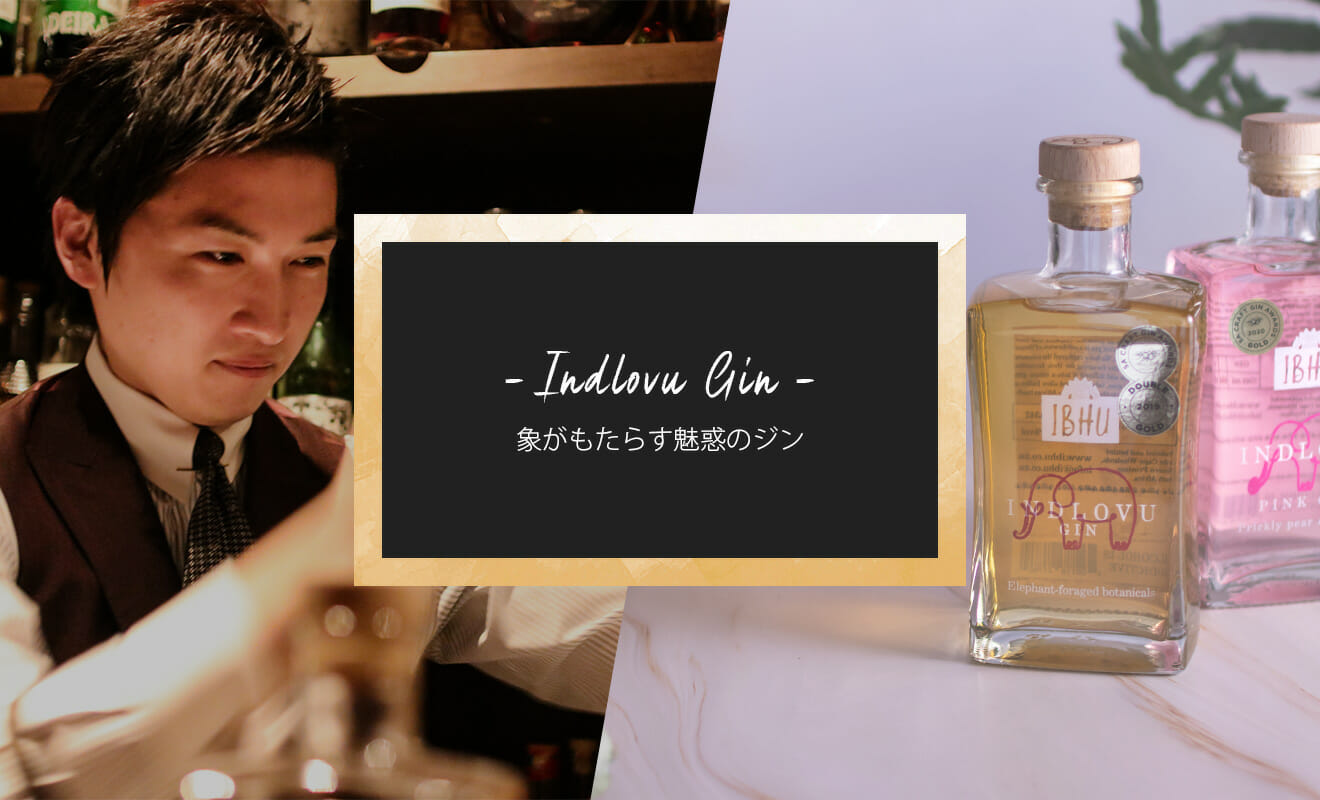 象のフンの植物を使ったクラフトジン インドラブ の魅力と プロに聞く美味しい飲み方