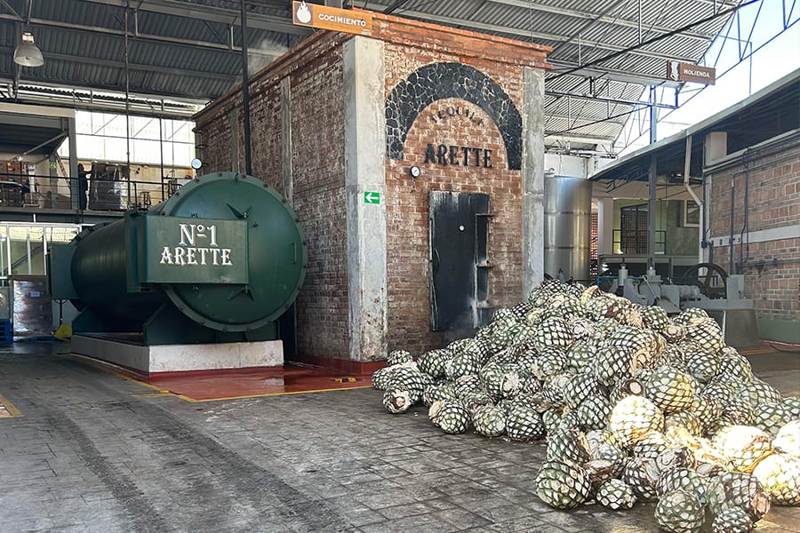 アレッテが造られる蒸溜所。手前に写っているのは原料となるアガベのピニャ（球茎）- 写真提供：ジェイドックス株式会社