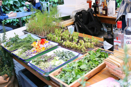 色鮮やかなハーブやボタニカル(草根木皮)などが並べられた。 マルシェのブースにて