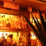 アガベが飾られたカウンター アガベが飾られたカウンター